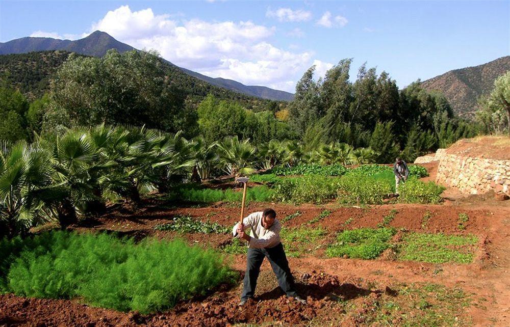 Domaine Malika Hotel Moulay Brahim Екстериор снимка
